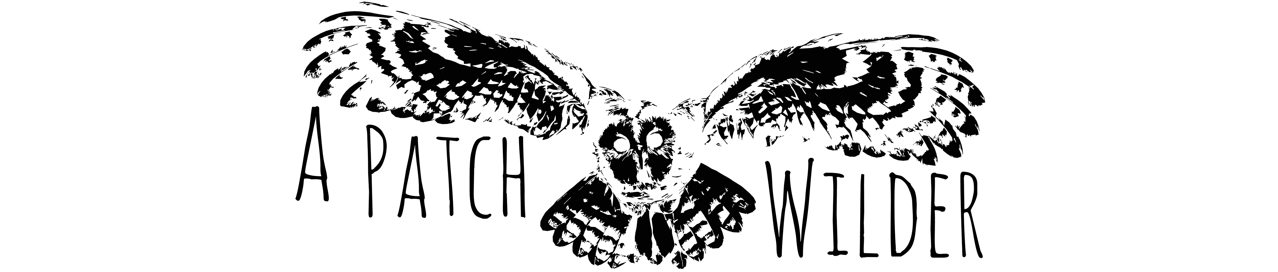 A Patch Wilder